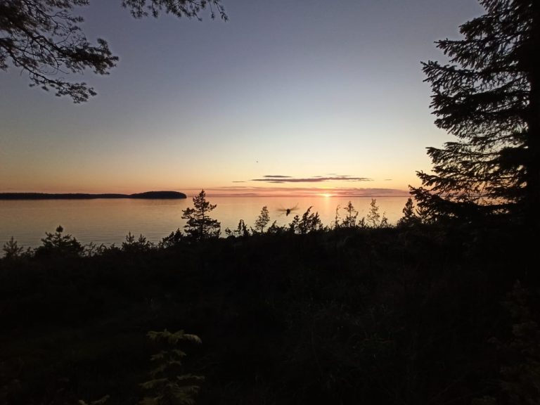 Автор фото: С.Петров