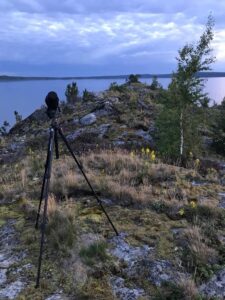 В погоне за осенней нерпой