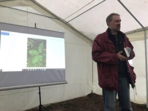 Три экослета для школьников прошли в сентябре на территории Кургальского заказника