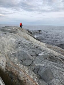 В погоне за осенней нерпой