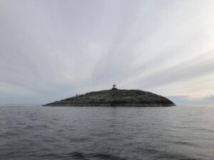 В погоне за осенней нерпой