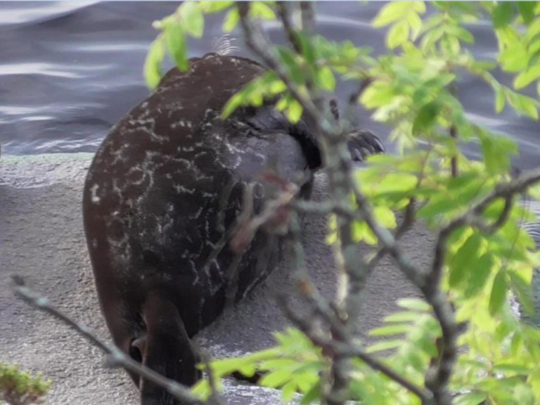 Экспедиция CoExist