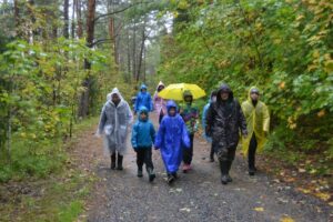Три экослета для школьников прошли в сентябре на территории Кургальского заказника