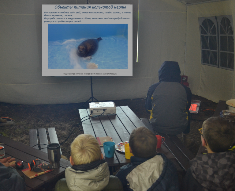 Три экослета для школьников прошли в сентябре на территории Кургальского заказника