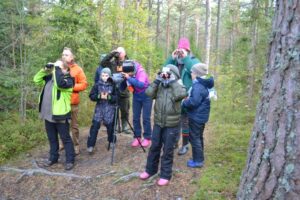 Три экослета для школьников прошли в сентябре на территории Кургальского заказника