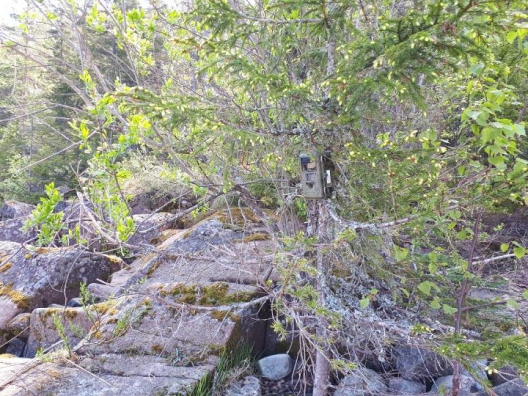 Экспедиция CoExist