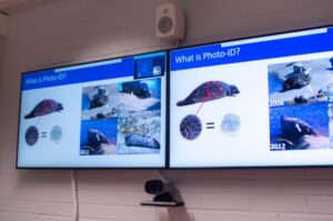 Обучение фотоидентификации в Йоэнсуу