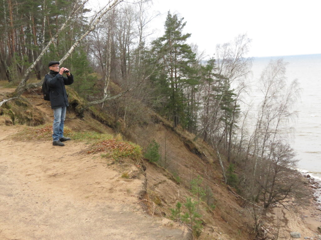 Балтийский фонд природы принял участие в разработке экологических троп и маршрутов на ООПТ Ленинградской области