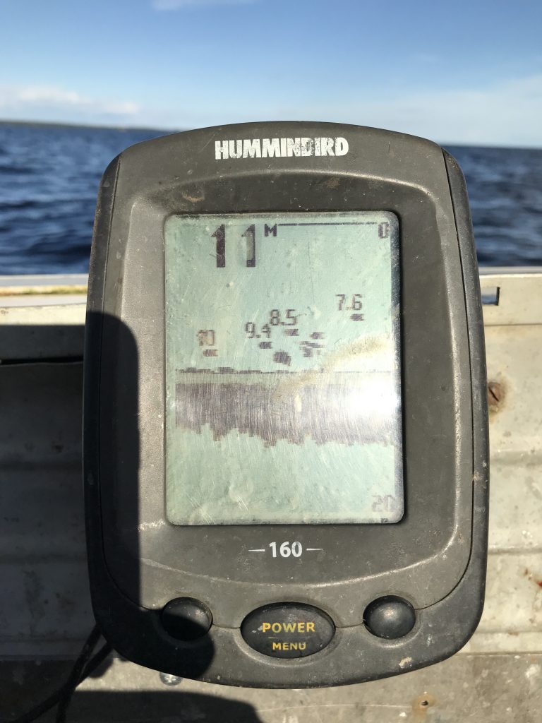 Изучение кормового поведения нерпы