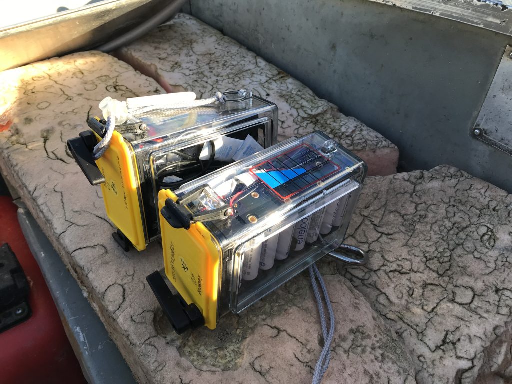 Изучение кормового поведения нерпы