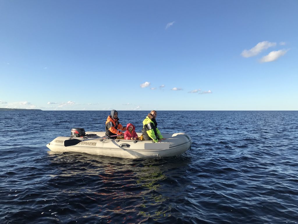 Изучение кормового поведения нерпы