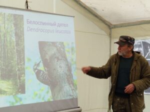 Три экослета для школьников прошли в сентябре на территории Кургальского заказника