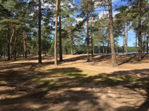 Фото М.Л. Вильнер