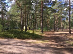 Фото М.Л. Вильнер