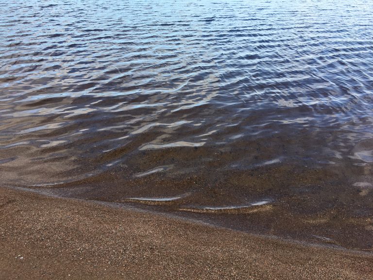 Фото М.Л. Вильнер