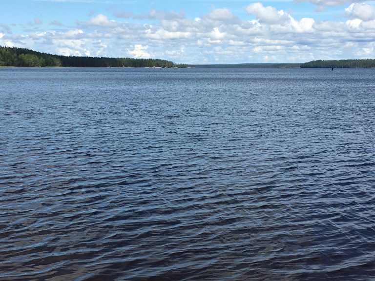 Фото М.Л. Вильнер