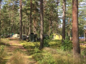 Фото М.Л. Вильнер