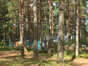 Фото М.Л. Вильнер