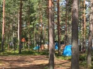 Фото М.Л. Вильнер