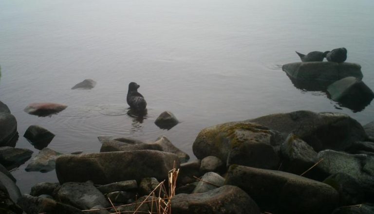 Экспедиция CoExist