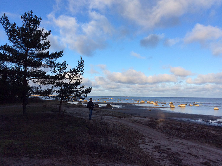 Балтийский фонд природы принял участие в разработке экологических троп и маршрутов на ООПТ Ленинградской области