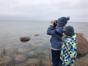 Три экослета для школьников прошли в сентябре на территории Кургальского заказника