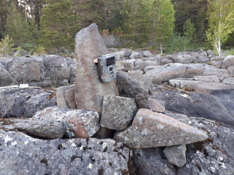 Экспедиция CoExist