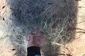 “Всероссийский день без сетей” на Новой Ладоге