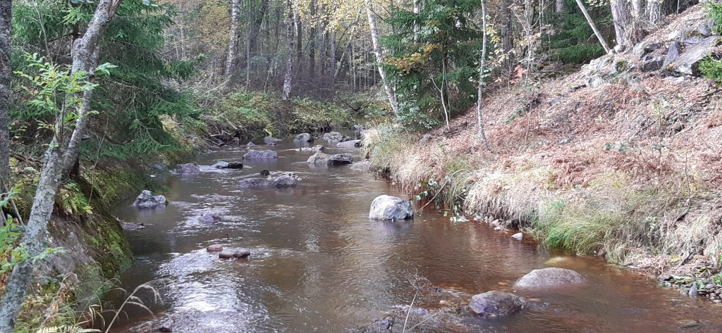 Готовый порог на реке Сторожевой
