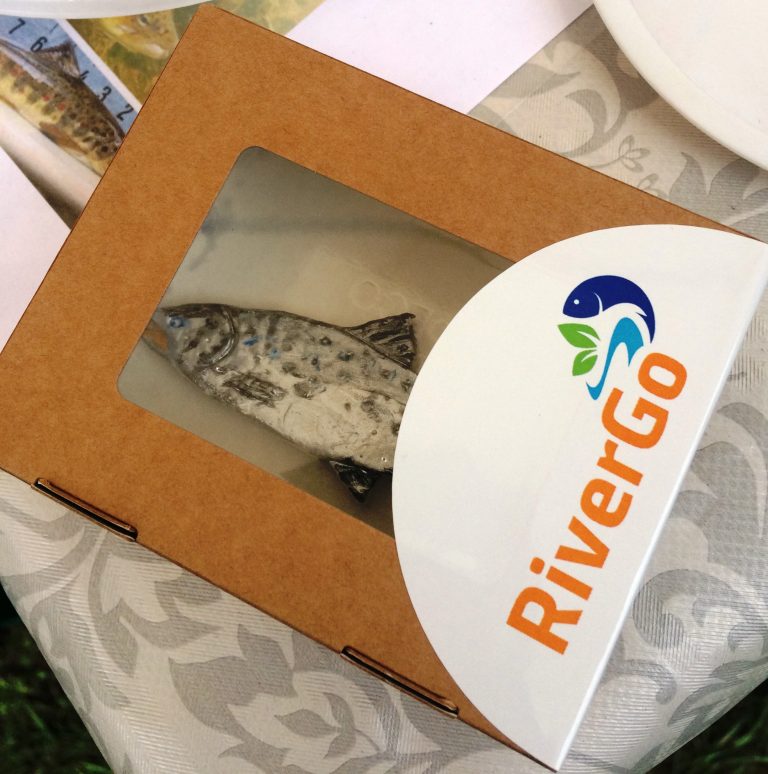 Проект RiverGo на фестивале “Кедр” в парке Монрепо