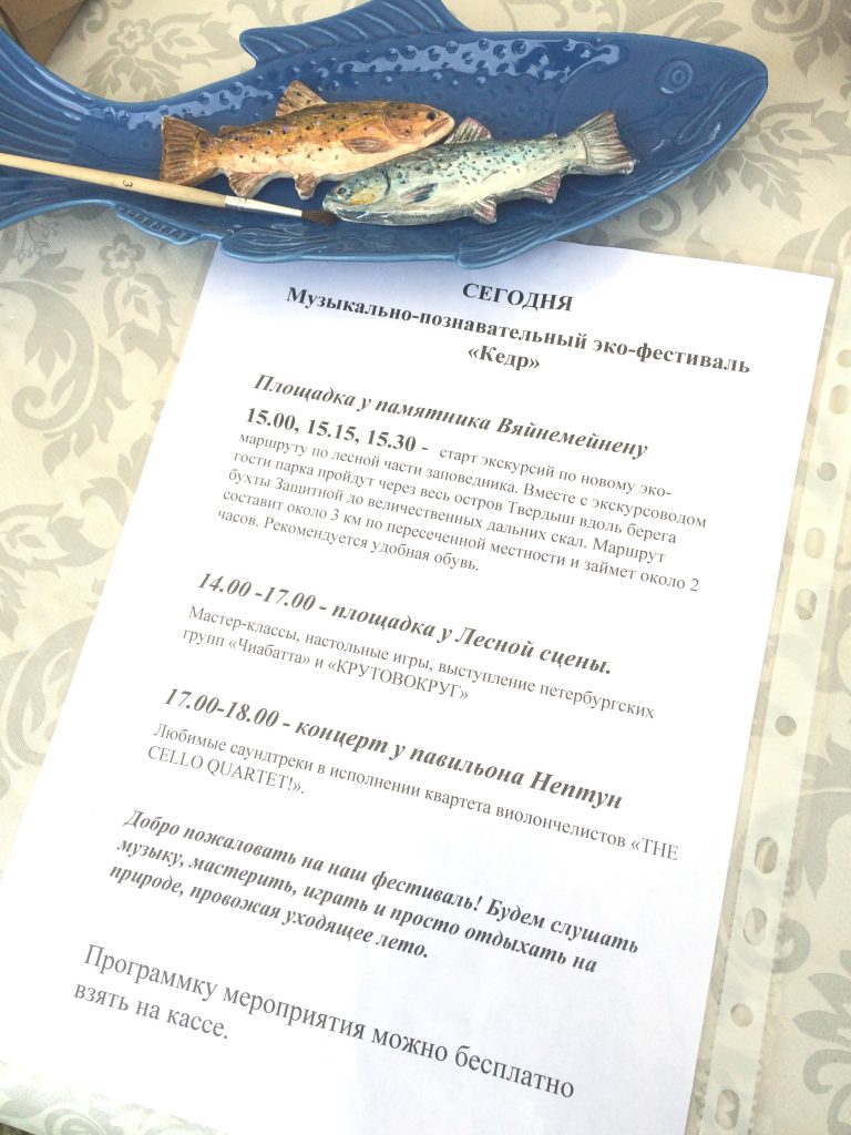 Проект RiverGo на фестивале “Кедр” в парке Монрепо