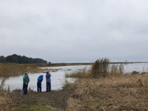 Три экослета для школьников прошли в сентябре на территории Кургальского заказника