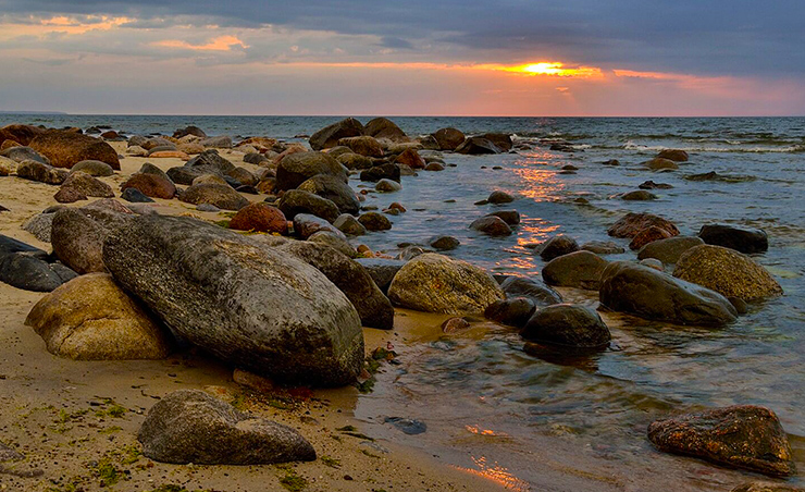 Акция “Наш любимый берег”