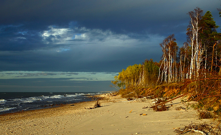 Изучение опыта менеджмента ВБУ