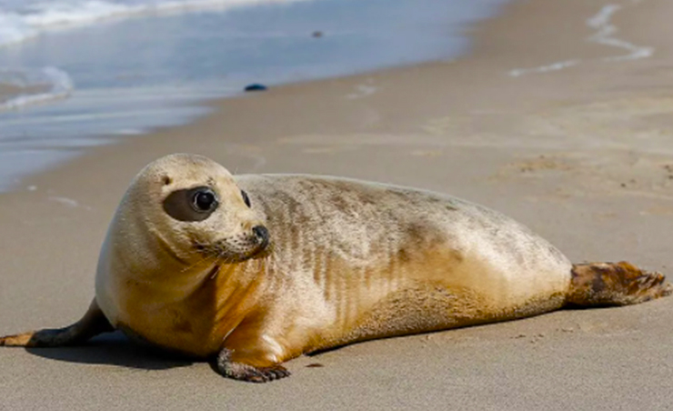 Стартовая встреча по проекту CoExist