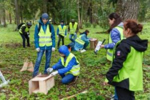 Развеска в Гатчине