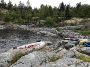 В погоне за осенней нерпой