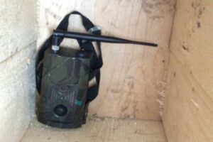 Размещение фото ловушек в глубине гнездовий для сов "Горизонтальной" консультации