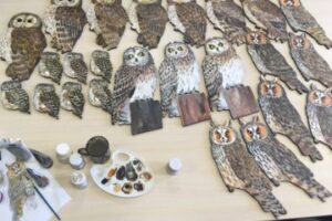 Изготовление информационных табличек о видах сов, встречающихся в парках
