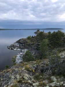 В погоне за осенней нерпой