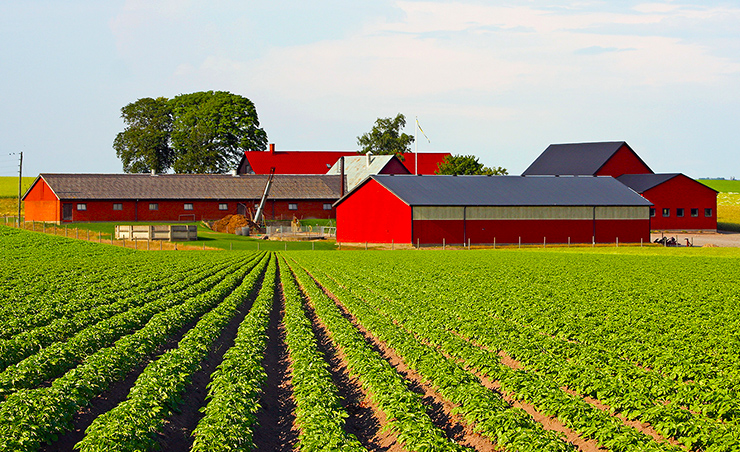 Семинар для фермерских хозяйств