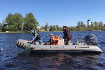 “Всероссийский день без сетей” на Новой Ладоге