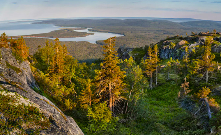 Ожидаемые ООПТ в Ленинградской области в 2020 году