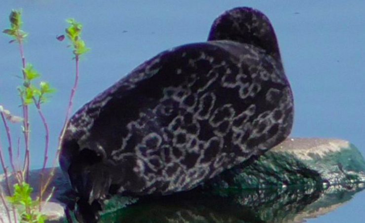 Экспедиция CoExist