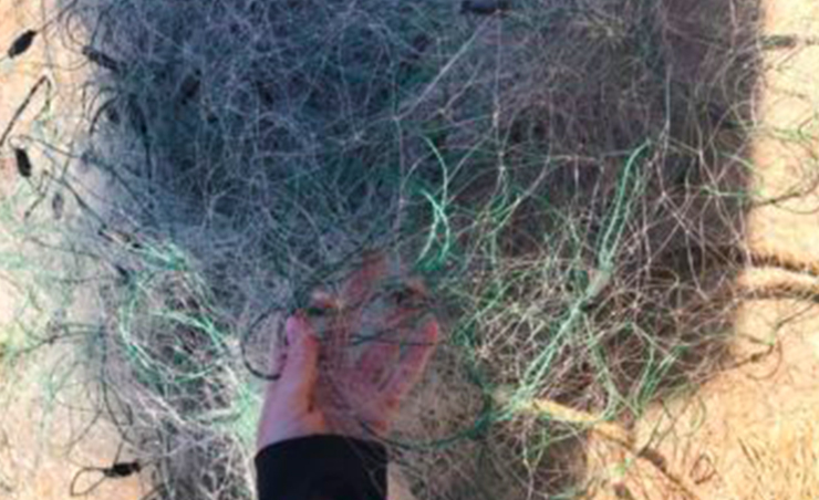 “Всероссийский день без сетей” на Новой Ладоге