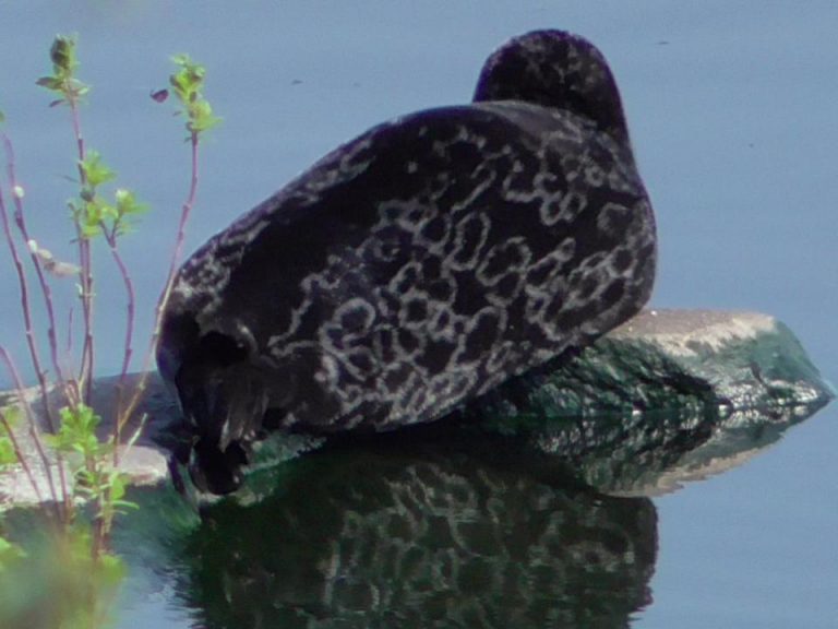 Экспедиция CoExist