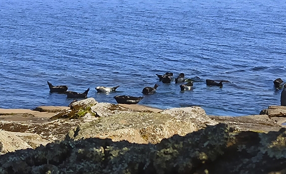 CoExist: стартовал полевой сезон