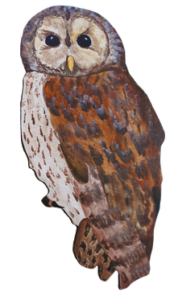 Длиннохвостая неясыть (Strix uralensis). Эта крупная сова живёт в высокоствольных лесах вблизи полян или вырубок. Пары стабильные, птицы живут осёдло. Гнездится в старых зданиях или занимает гнёзда дневных хищников, чаще всего ястребов или канюков. Птенцы длиннохвостой неясыти вылупляются в апреле, самка согревает совят, а самец интенсивно охотится и кормит всю семью. В мае птенцы уже хорошо летают и учатся охотиться на мелких грызунов.