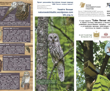 Информационный буклет о проекте.
