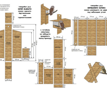 Листовка с планами основных основных типов искусственных гнездований.